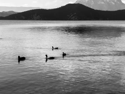 SlotoCash Kasyno Aplikacja mobilna